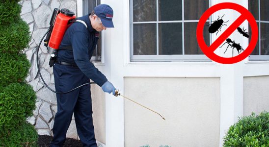 Keşan Böcek İlaçlama böcek ilaçlama ve haşere kontrolü — ilaclama-tr.com